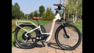 Rad City Electric Bike